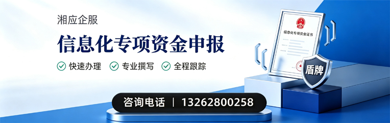 襄阳信息化专项资金申报服务