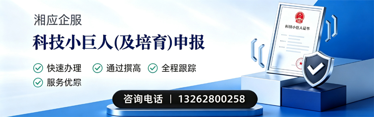 襄阳科技小巨人及培育企业申报服务