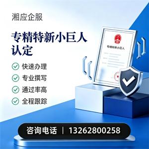 襄阳专精特新小巨人申报服务