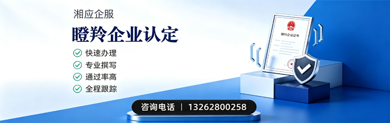 襄阳瞪羚企业认定申报服务