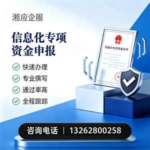 襄阳信息化专项资金申报服务