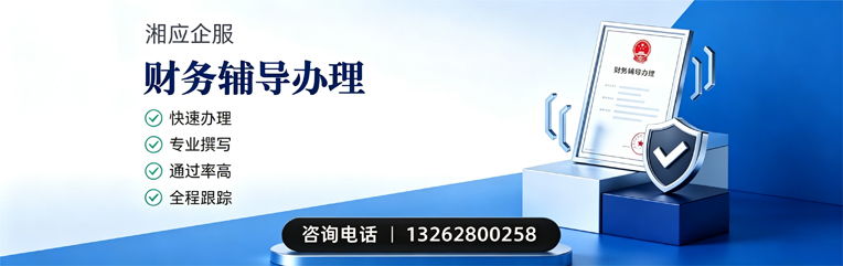 襄阳财务辅导申请服务