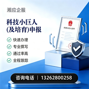 襄阳科技小巨人及培育企业申报服务