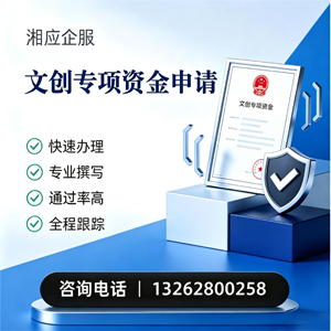 襄阳文创专项资金申报服务
