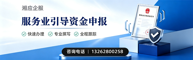 襄阳服务业引导资金申报服务