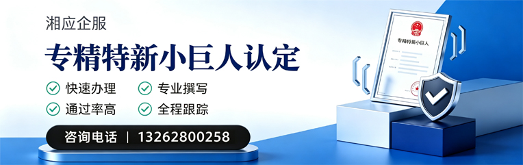 襄阳专精特新小巨人申报服务